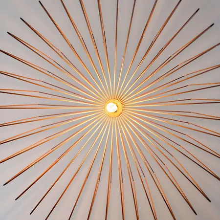 아파트 Silver Fox *