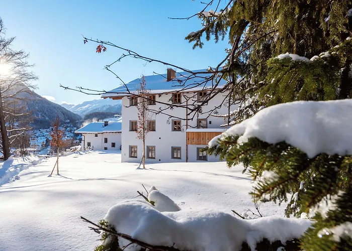 Apartament Silver Fox *