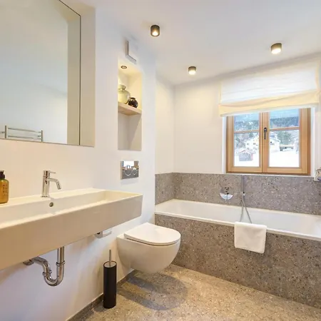 Silver Fox * סן אנטון