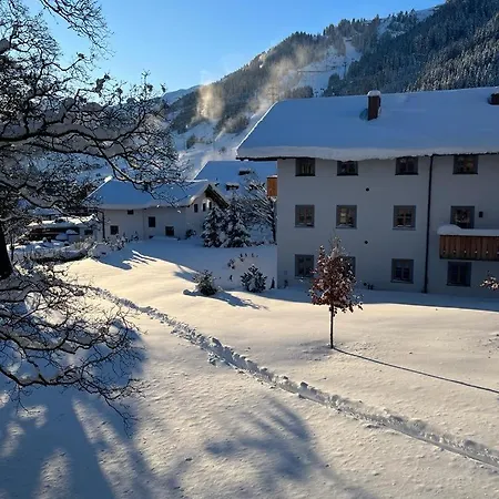 Apartament Silver Fox *