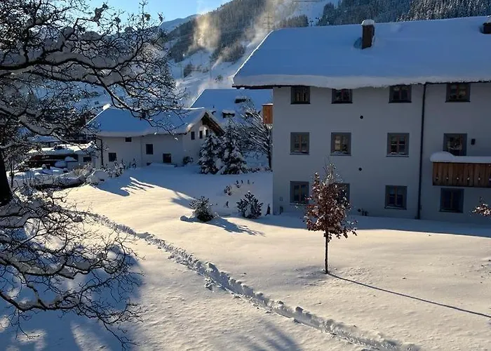 Apartment Silver Fox *