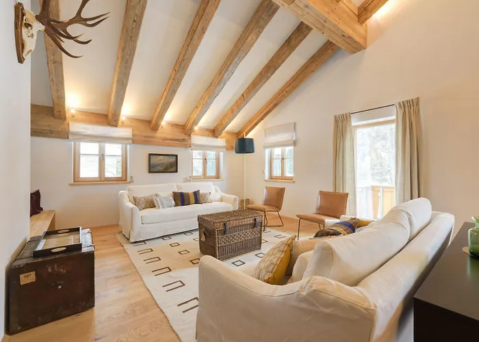 Apartment Silver Fox