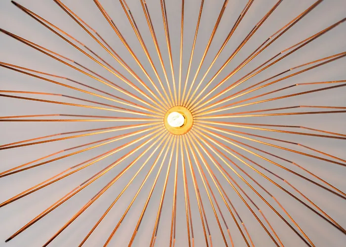 Apartment Silver Fox *